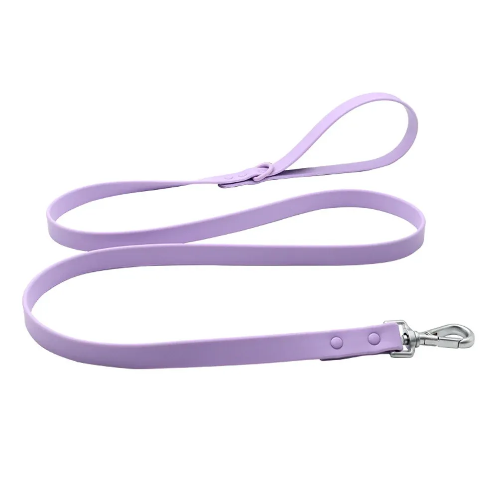Waterproof Leash for Daily Walks
